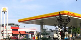 Shell to Buy Indian Renewables Company Sprng Energy