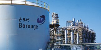 Petrochemical Company Borouge to List on Stock Exchange Amid a String of IPOs