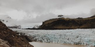 Drastic Shift in World Economy Essential for Combatting Global Warming