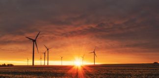When Saving the Planet Hits the Bottom Line, Investors Take Notice