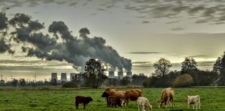 Dartmouth Study: Greenhouse Gases Cost World Economy Trillions of Dollars