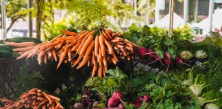 USDA Allocates $89 Million for More Competition
