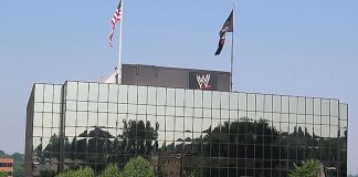 Wrestling Icons WWE and UFC to Merge