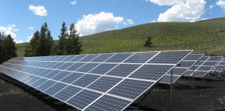 ESG Investing Is Here to Stay