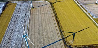 Reconsidering Anti-ESG Investing: A Critical Analysis
