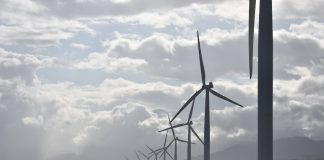 Assessing The Current Climate of ESG Investments