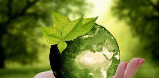 Goldman Sachs Launches $500M Fund for Biodiversity Conservation