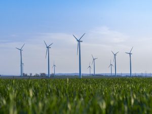 UAE CFOs Propel Net Zero Investments