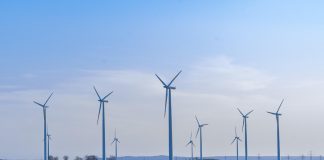UAE CFOs Drive Sustainability Investments Aligned with Net Zero 2050 Goals