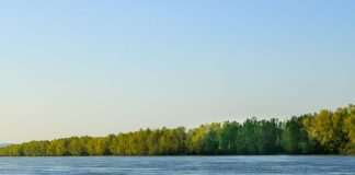 Coca-Cola Foundation Supports Water Conservation Across Continents