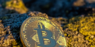 Public Companies Adopt Cryptoasset Treasury Models to Drive Growth