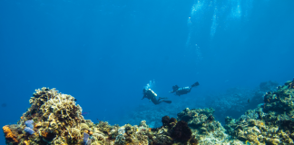 Prada and UNESCO Launch Ocean Fund to Strengthen Education and Preservation