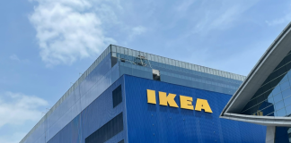 IKEA Begins Major Forest Restoration Effort in Brazil’s Endangered Atlantic Forest