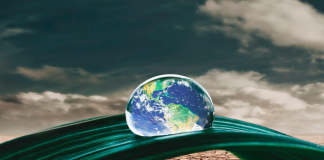 Klarna Launches AI Program to Support Climate Resilience Projects
