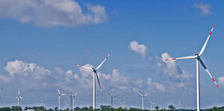 EY Launches Sustainable Operating Blueprint to Help Companies Embed ESG Into Core Operations