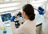 Seaport and Hemab Target Nasdaq Listings as Biotech IPO Activity Builds